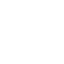 79r icon