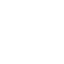 79r icon
